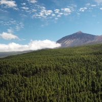 Volcano